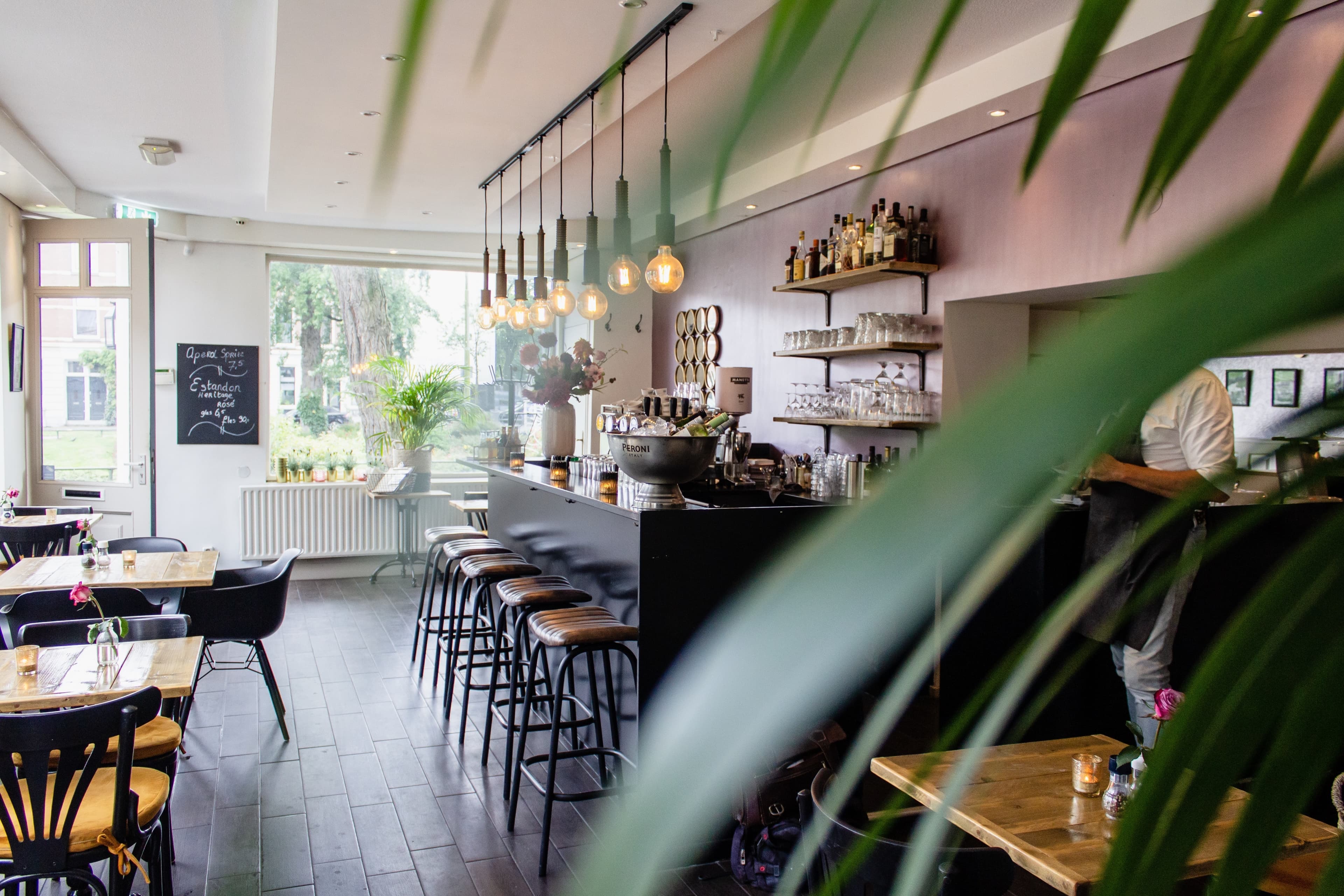 Bugonia Coffee cafe interior with bar seating and warm lighting